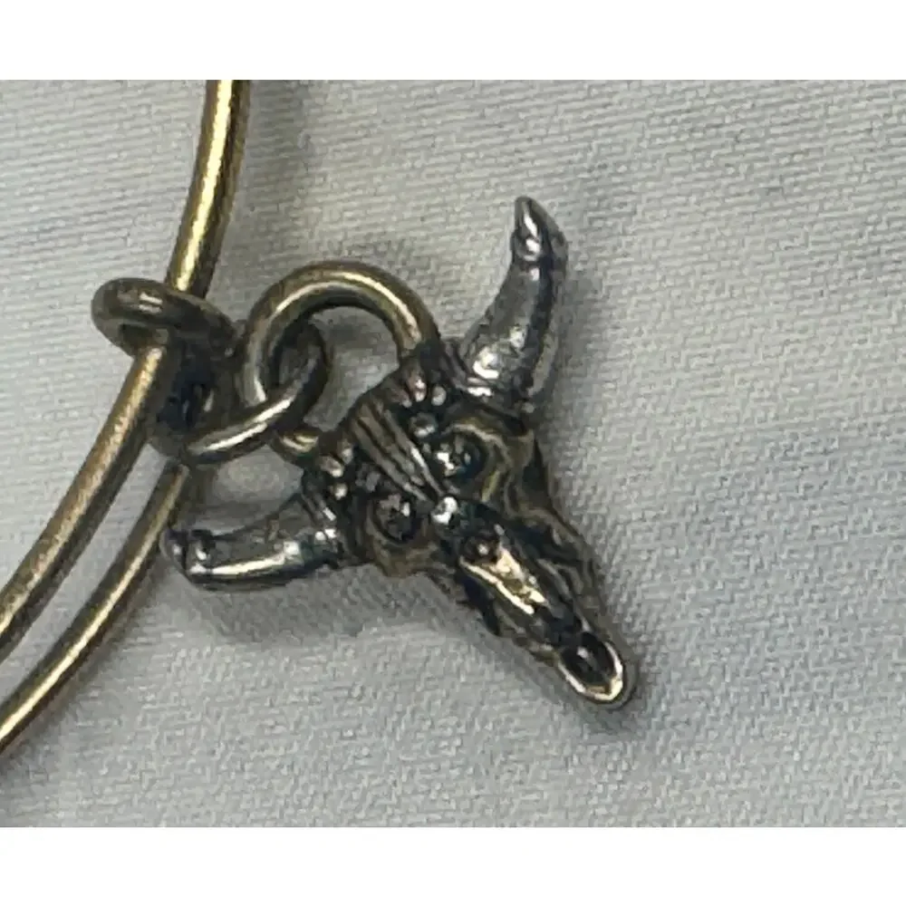 Alex and Ani Spirited Skull Charm Bangle,‎ signed, western, long horns